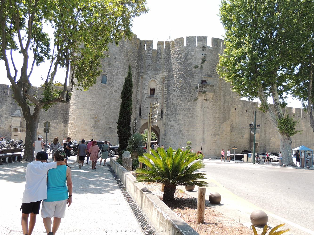 2022 07 UN AIR DE VACANCES 22 AIGUES MORTES (3).JPG -           